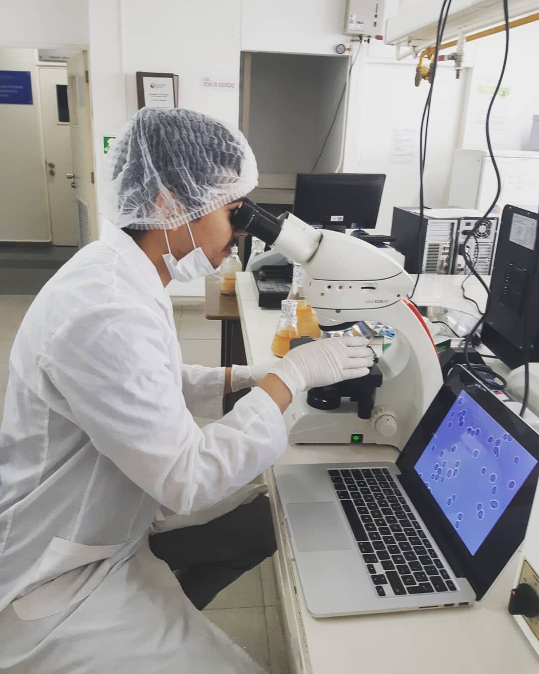 Observación al microscopio