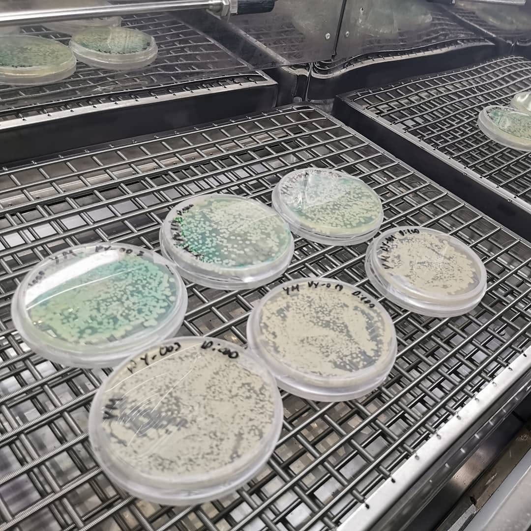 Microbiológicos