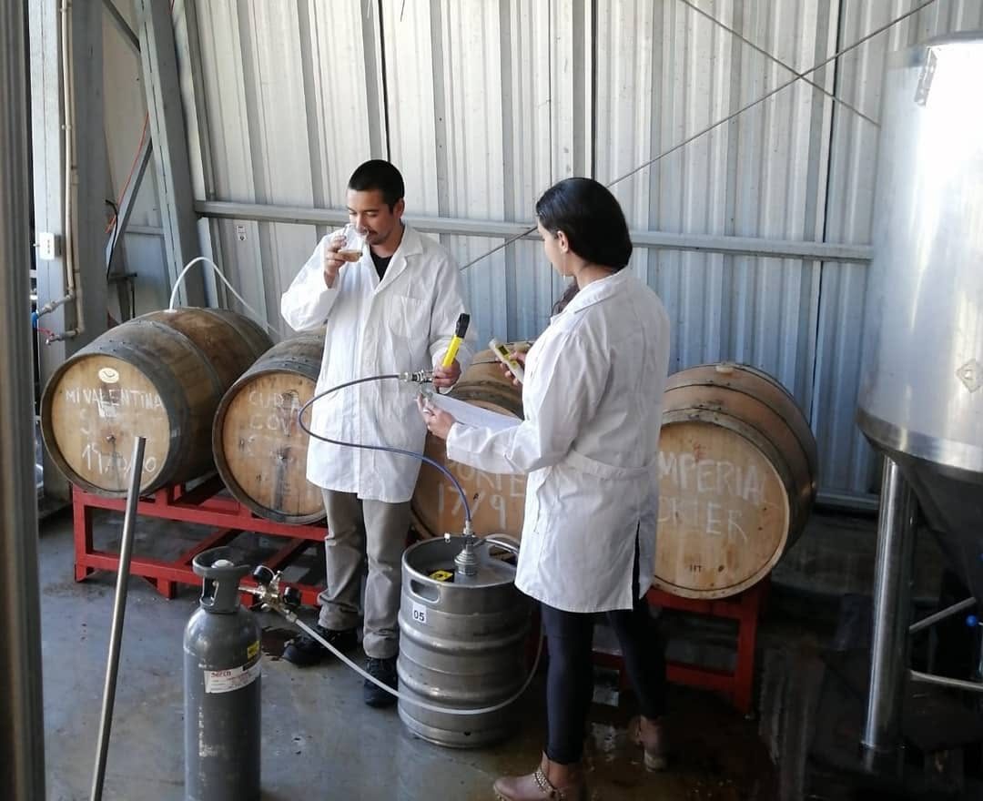 Asesoría técnica de Patagonian Yeast en una cervecería